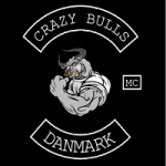 Crazy Bulls