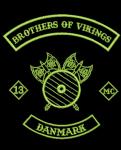 Brothers of Vikings