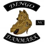 Dingo