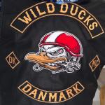 Wild Ducks